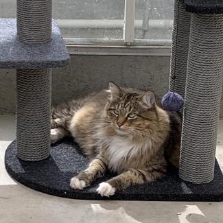 rodentpatrol2.jpg rodentpatrol2.jpg