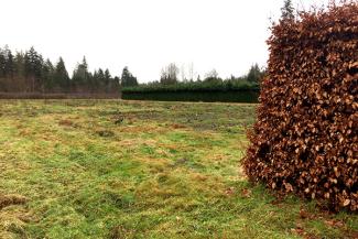 scfield.jpg scfield.jpg